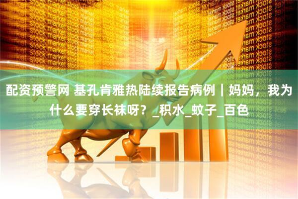 配资预警网 基孔肯雅热陆续报告病例｜妈妈，我为什么要穿长袜呀？_积水_蚊子_百色