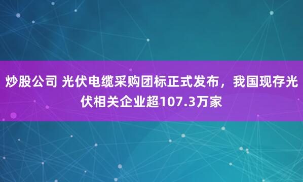 炒股公司 光伏电缆采购团标正式发布，我国现存光伏相关企业超107.3万家