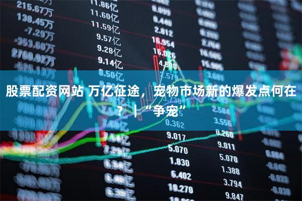 股票配资网站 万亿征途，宠物市场新的爆发点何在？｜“争宠”